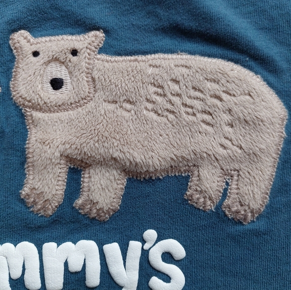 Gymboree 5T bear / hedgehog tees - Picture 5 of 16